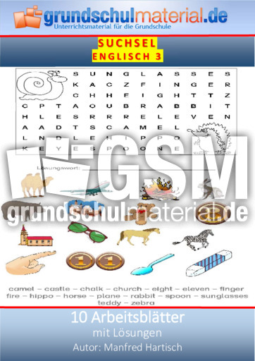Suchsel-Englisch_3.pdf